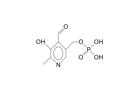 Pyridoxal 5-phosphate