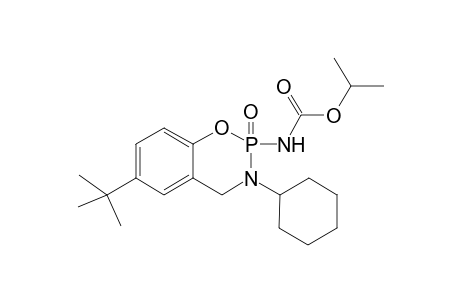 2-ISOPROPYLCARBAMATO-6-(1,1-DIMETHYLETHYL)-3-CYCLOHEXYL-3,4-DIHYDRO-2H-1,3,2-BENZOXAZAPHOSPHORINE-2-OXIDE