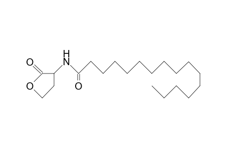 Hexadecanamide, N-(tetrahydro-2-oxo-3-furanyl)-