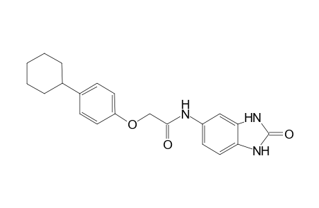 2-(4-cyclohexylphenoxy)-N-(2-oxo-2,3-dihydro-1H-benzimidazol-5-yl)acetamide