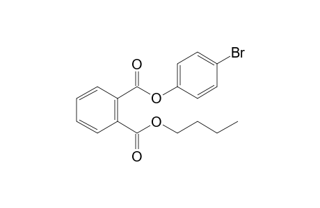 Phthalic acid, 4-bromophenyl butyl ester