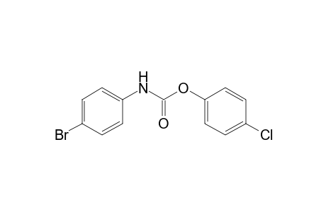 p-bromocarbanilic acid, p-chlorophenyl ester