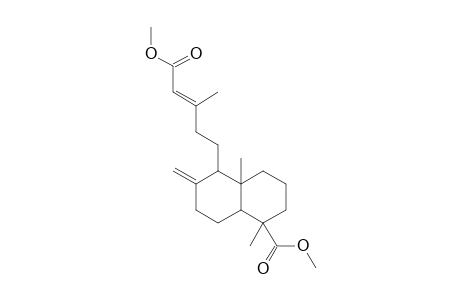 DIMETHYLAGATHAT