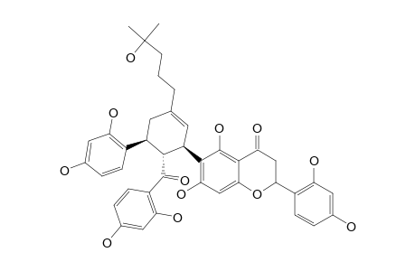 SANGGENON-T