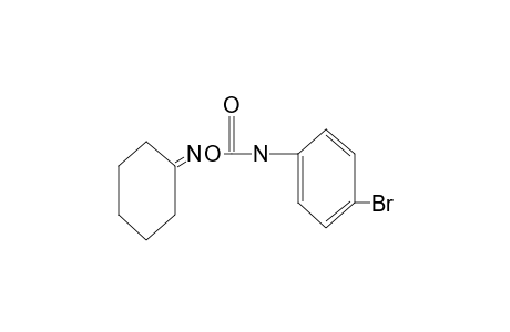 cyclohexanone, O-[(p-bromophenyl)carbamoyl]oxime