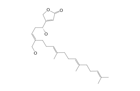 HIPPOLIDE_C