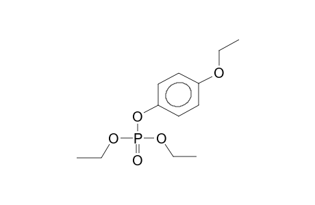 DIETHYL PARA-ETHOXYPHENYLPHOSPHATE