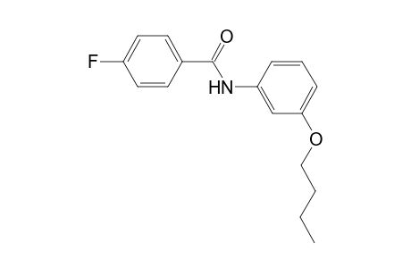 benzamide, N-(3-butoxyphenyl)-4-fluoro-