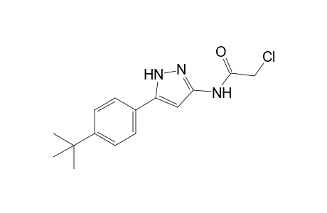 N-[3-(p-tert-butylphenyl)pyrazol-5-yl]-2-chloroacetamide