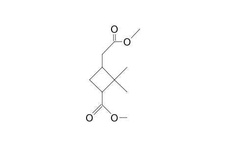 3-Carboxy-2,2-dimethyl-cyclobutaneacetic acid, dimethyl ester