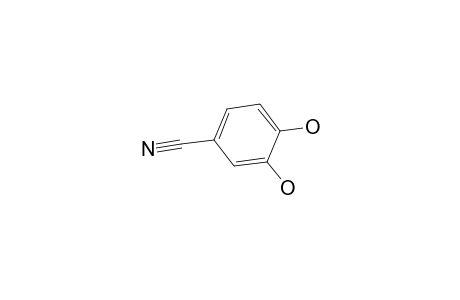 3,4-Dihydroxy benzonitrile