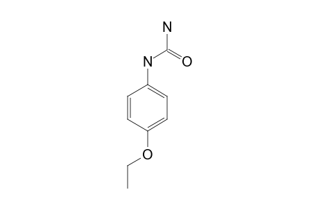 (p-ethoxyphenyl)urea