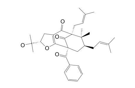 GARCINIELLIPTONE-K;2-ALPHA-BENZOYL-9,9-DIMETHYL-6-ALPHA,8-BETA-DI-(GAMMA,GAMMA-DIMETHYLALLYL)-3,4-[2-ALPHA-(2'-HYDROXYISOPROPYL)-2,3-DIHYDROFURAN]-