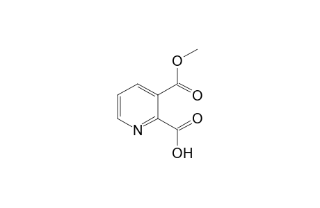 2,3-pyridinedicarboxylic acid, 3-methyl ester