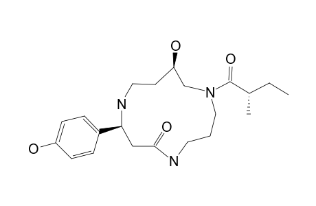 ISOMER_1