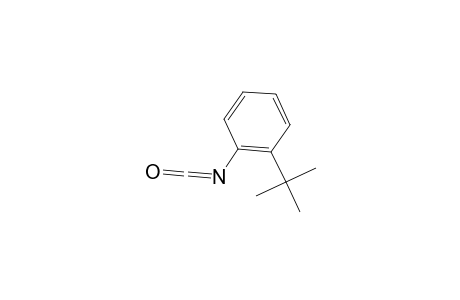 2-Tert-butylphenyl isocyanate