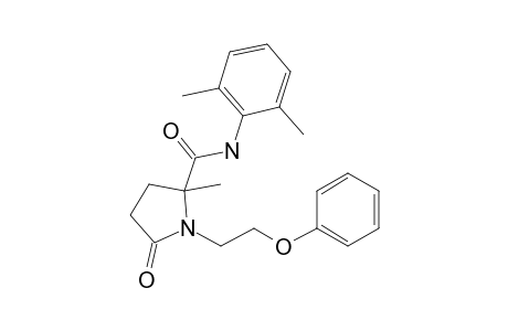 N-(2,6-Dimethylphenyl)-2-methyl-5-oxo-1-(2-phenoxyethyl)pyrrolidine-2-carboxamide