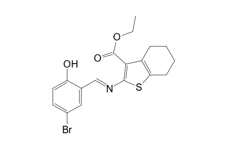 2-[(5-bromosalicylidene)amino]-4,5,6,7-tetrahydrobenzo[b]thiophene-3-carboxylic acid, ethyl ester