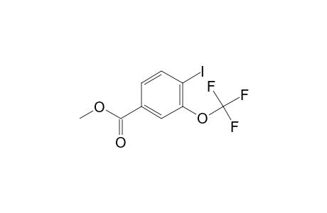 4-Iodo-3-(trifluoromethoxy)benzoic acid, methyl ester