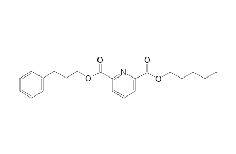 2,6-Pyridinedicarboxylic acid, pentyl 3-phenylpropyl ester