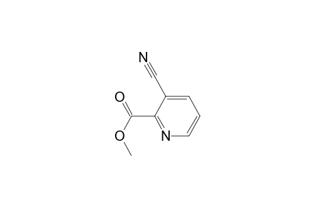 3-cyanopicolinic acid, methyl ester
