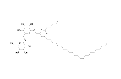 DGDG O-24:1_6:0