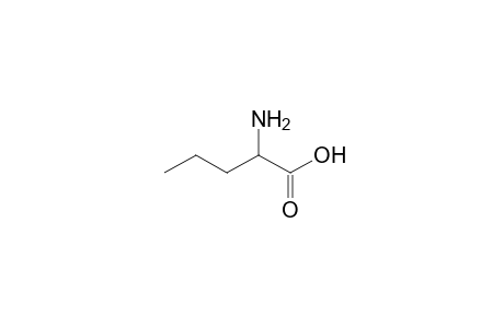 norvaline