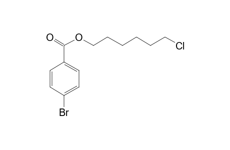 4-Bromobenzoic acid, 6-chlorohexyl ester