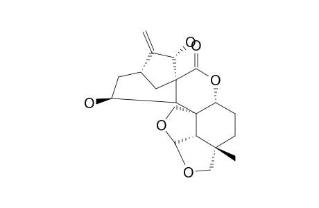 SCULPONEATIN-B