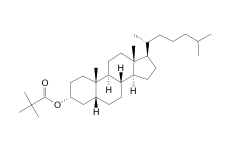 5.beta.-Cholestan-3.alpha.-ol, trimethylacetate