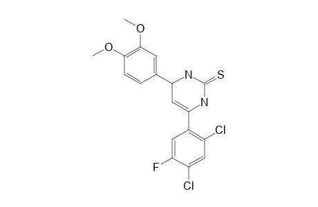 4-(3,4-dimethoxyphenyl)-6-(2,4-dichloro-5-fluorophenyl)-3,4-dihydropyrimidin-2(1H)-thione