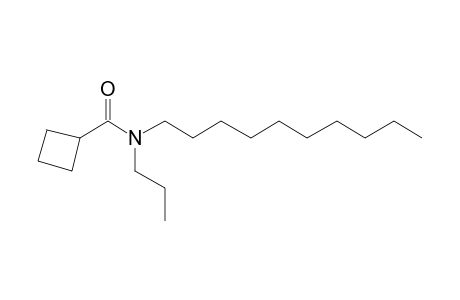 Cyclobutanecarboxamide, N-propyl-N-decyl-