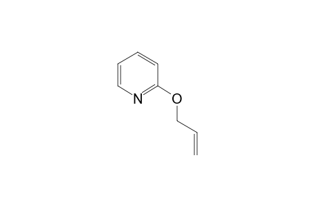 2-Allyloxypyridine
