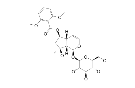 6-O-SYRINGOYL-AJUGOL