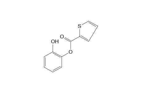 2-thiophenecarboxylic acid, o-hydroxyphenyl ester