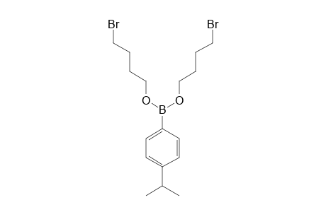 4-BIS-(4'-BROMOBUTOXY)-BORYLCUMENE