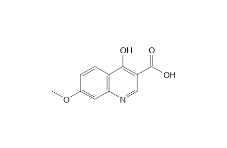 4-hydroxy-7-methoxy-3-quinolinecarboxylic acid