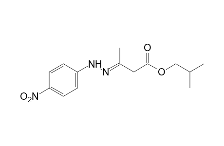 Acetoacetic acid, isobutyl ester, p-nitrophenylhydrazone