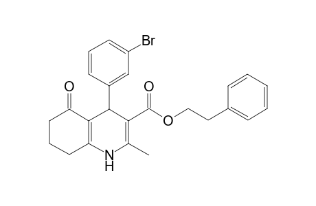 4-(3-bromophenyl)-5-keto-2-methyl-4,6,7,8-tetrahydro-1H-quinoline-3-carboxylic acid phenethyl ester