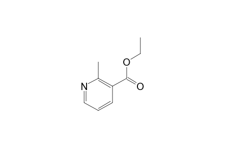 Ethyl 2-methylnicotinate