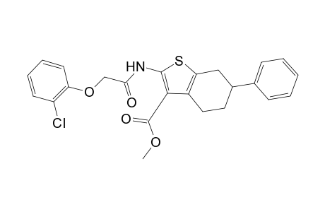 Methyl 2-{[(2-chlorophenoxy)acetyl]amino}-6-phenyl-4,5,6,7-tetrahydro-1-benzothiophene-3-carboxylate