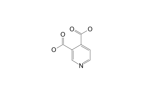 Pyridine-3,4-dicarboxylic acid