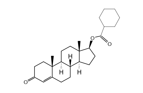 Testosterone hexahydrobenzoate