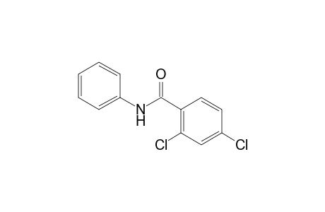 2,4-dichlorobenzanilide