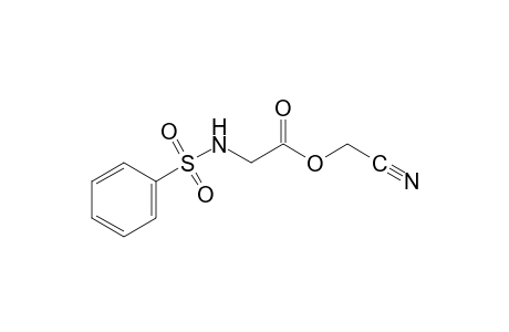 N-(phenylsulfonyl)glycine, cyanomethyl ester