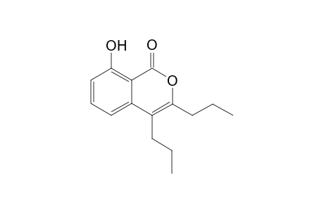 8-Hydroxy-3,4-di-n-propyl-1H-isochromen-1-one