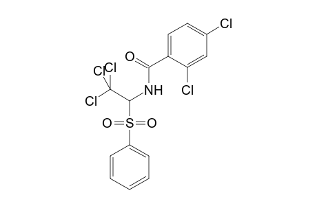 2,4-Dichloro-N-[2,2,2-trichloro-1-(phenylsulfonyl)ethyl]benzamide