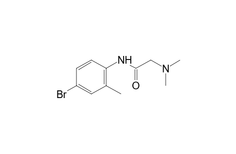 4'-bromo-2-(dimethylamino)-o-acetotoluidide