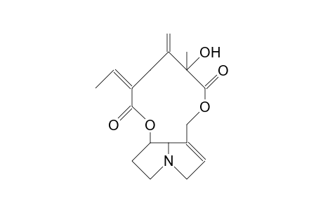 SENECIOPHYLLINE FROM SENECIO PANCICII