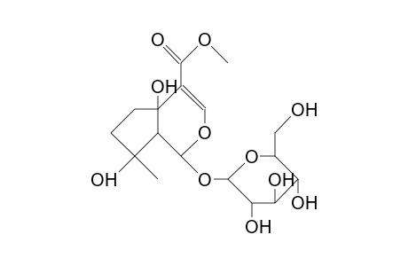 Ipolamide